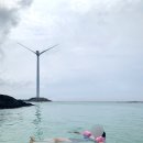 해바라기분식 이미지