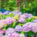 이순신공원(위령탑) 이미지