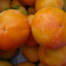 김봉구농장 이미지