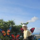 해피라이프 이미지