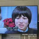 세미타 | 일본드라마 "가정부 미타"시청 솔직후기