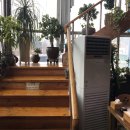 관촌대원주유소 이미지