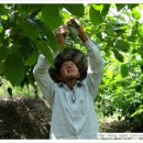 유창농장 이미지