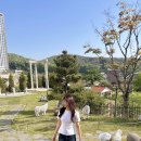 [교대] 살롱라메드 교대점 애쉬브라운 염색 후기