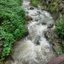 약손요양병원 이미지