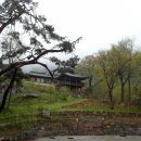 옥천리경로당 티스토리
