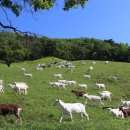 본연농장 이미지