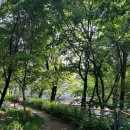 아단어린이공원 이미지