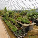 들꽃세상 이미지