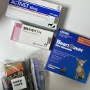 주정차CCTV-시장약국 | 평택 반려견 약 구매｜365 녹십자약국 후기 (위치·영업시간·주차 정보)