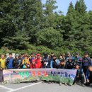 경북 칠곡 유학산, 한 풀 꺾인 산행인의 위상! 이미지