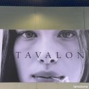 [헤렌디커피 배움터]향기와 맛에 끌리는 커피의 모든 것 | 카페쇼 2025 | 타바론 TAVALON 최애 티브랜드 후기