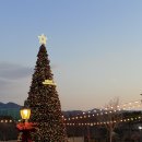 순지 | 양산 두바이쫀득쿠키·두바이젤라또 맛집｜1만 평 초대형카페 순지카페 후기