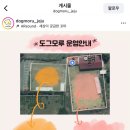 도그모루 애견유치원 네이버블로그