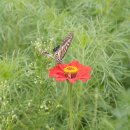 죽녹원마을 이미지