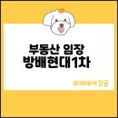 현대2-1차아파트 이미지