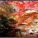 정읍산외한우 이미지