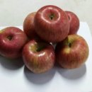 애플의원 이미지