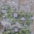 오산-청학-청학-6 이미지