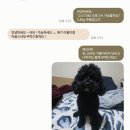 멍그레 이미지