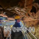 천곡황금박쥐동굴 | [동해 여행, 아이랑 가볼만한 곳] 천곡 황금박쥐 동굴 방문 후기 (난이도, 복장, 할인 정보)