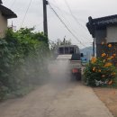 초동면행정복지센터 이미지