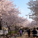 양평1동-4 이미지