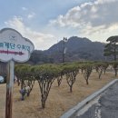 하늘계단 | 하늘계단 수목장, 이런 분들께 추천합니다!