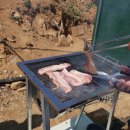 번개농장 이미지