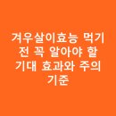 겨우살이 | 겨우살이효능 먹기 전 꼭 알아야 할 기대 효과와 주의 기준