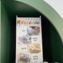 개릿뷰티 이미지