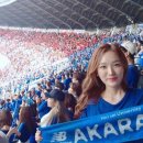 김세연 카카오 검색결과