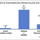 편도선 부었을때, 면역력을 높여라! 이미지