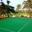 관리도캠핑장 이미지