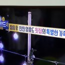 하하횟집