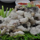 아구식당 Daum카페