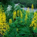 아 백두산 이미지