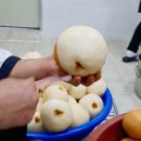 (주)엠제이푸드 이미지