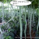 팔도농장 이미지