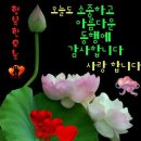 (주)이호