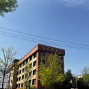 성포마루한방병원 | 안산 데이트 코스 추천, ‘우다다다고양이카페’ 솔직 후기 🤍