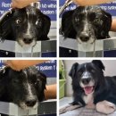 올리스 24(마산) 이미지