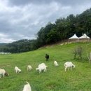 서원목장 이미지