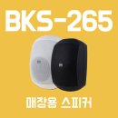 아트엠플러스 | 매장 스피커 카날스 매장 앰프 EMA-600N BKS-265 설치 후기