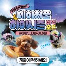 강아지 숲 이미지