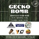 하이어엑조틱 | 워터밤보다 핫한 광명 게코밤 후기