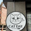 캣데이 | 오늘은 튼튼이와 뚠뚠이의 특별한 날 - 무마취 고양이 전용 미용샵, 캣데이