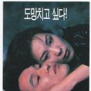 초록물고기