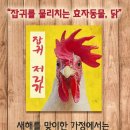 2017년 새해 해맞이 금당산 산행 이미지