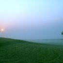 안서목장 이미지